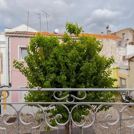 Apartman Downtown Ii